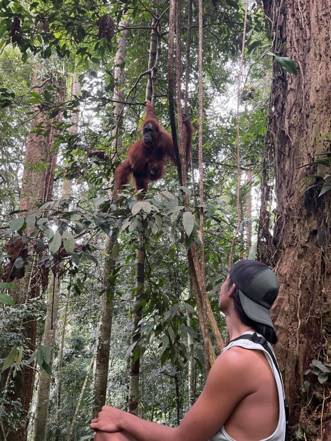 Aussie Inn Bukit Lawang Zewnętrze zdjęcie