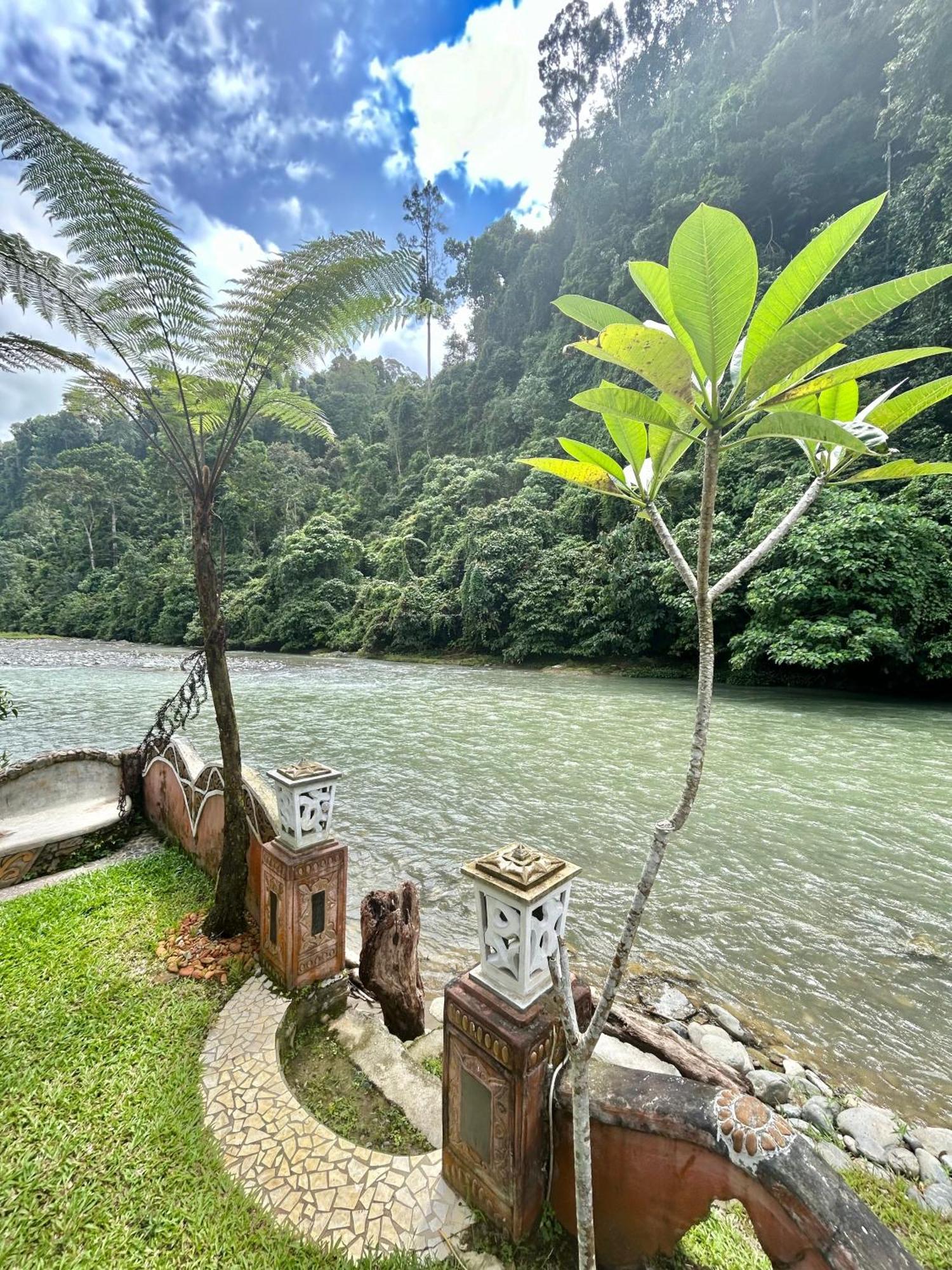 Aussie Inn Bukit Lawang Zewnętrze zdjęcie